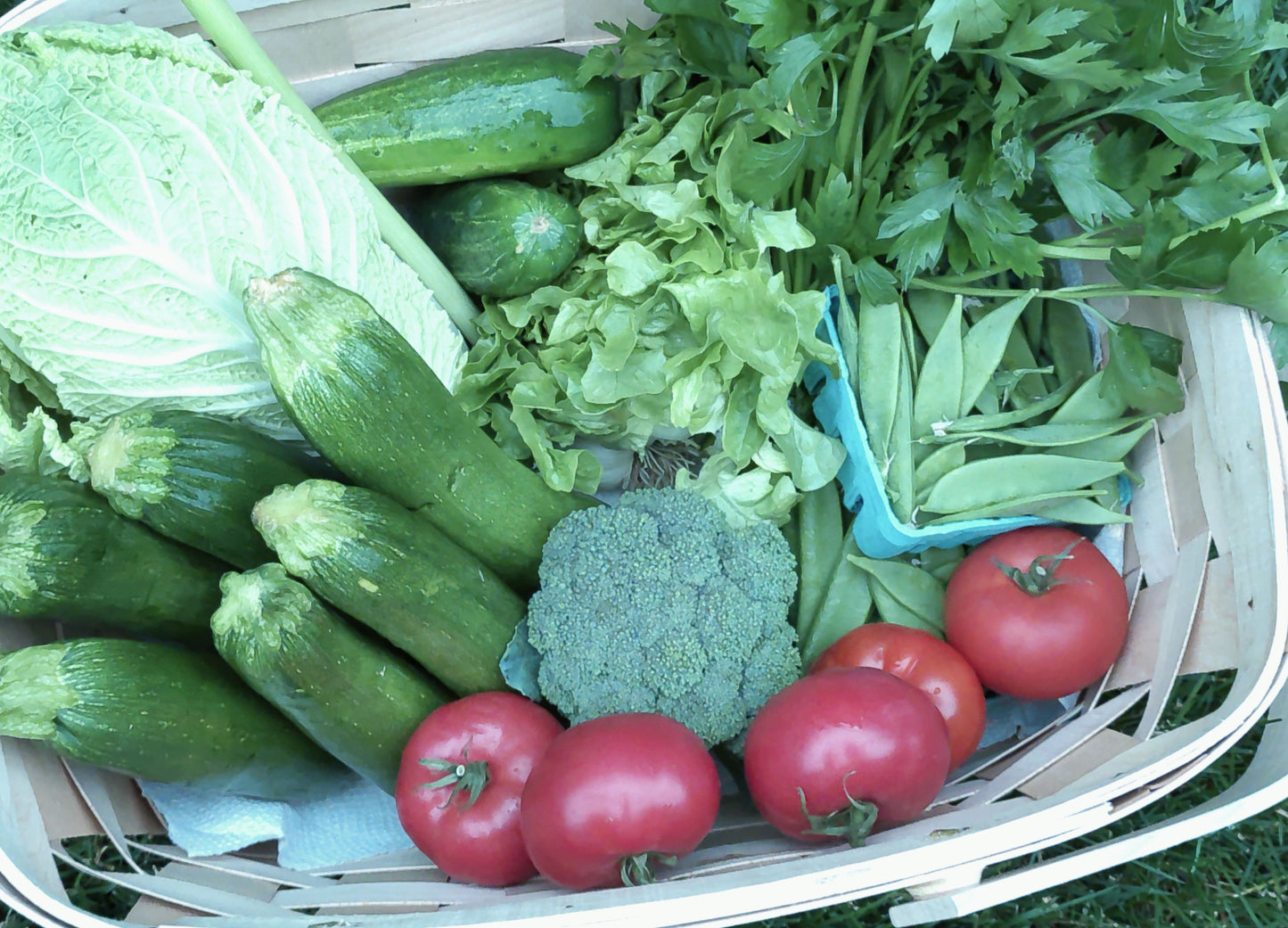 Shop 'til you drop Basket