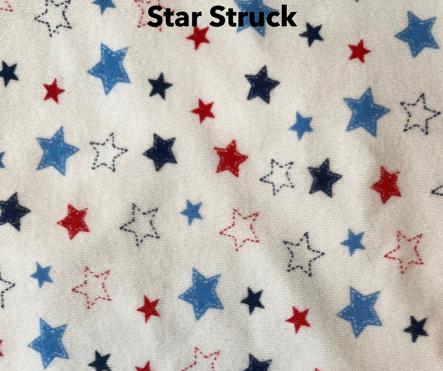 Star Struck in the U.S.A. Cover